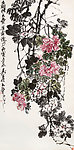 芙蓉