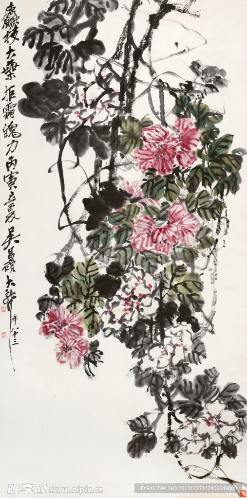芙蓉