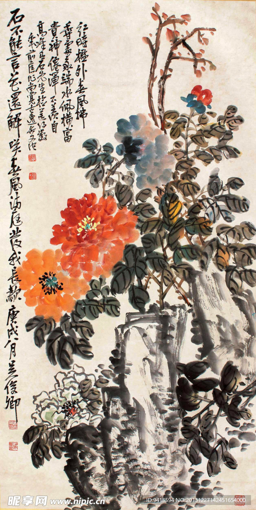 富贵牡丹