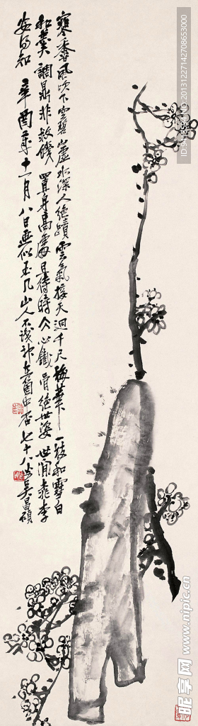 寒梅