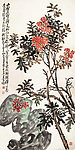 花卉
