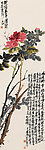 牡丹