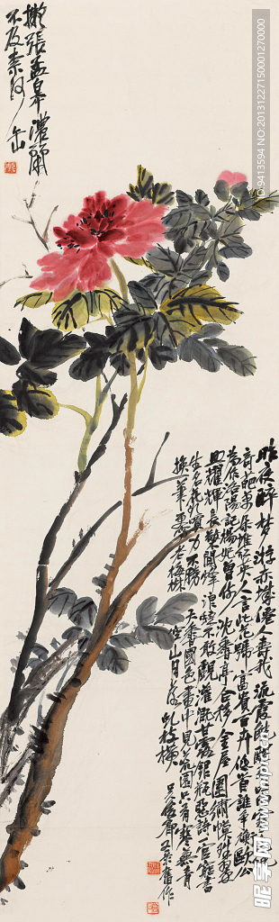 牡丹
