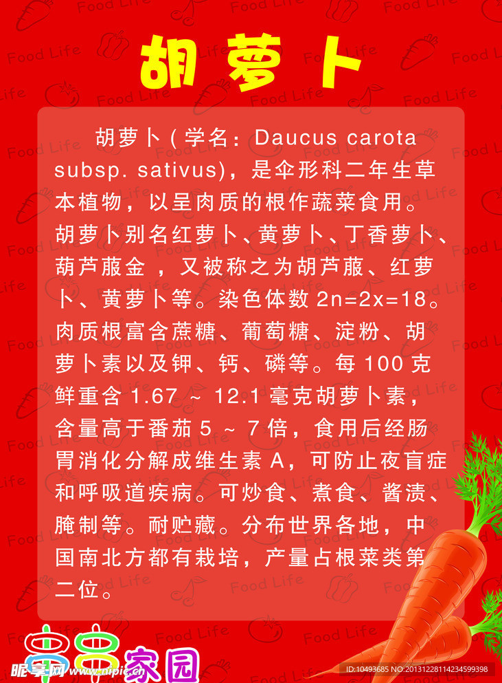 蔬菜介绍