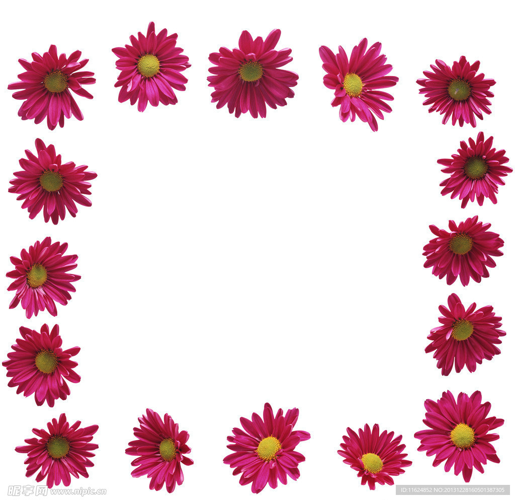 菊花边框