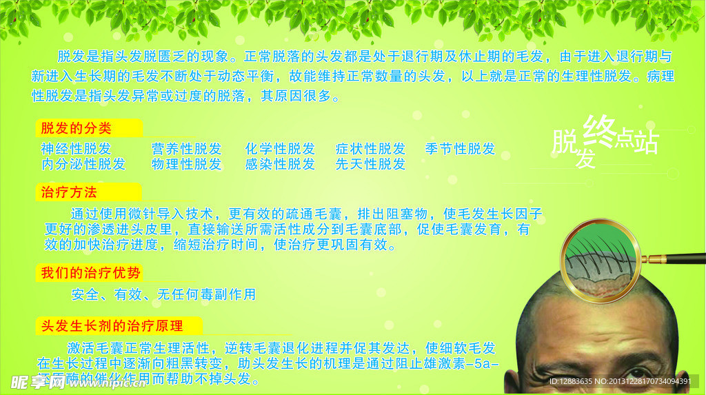脱发秃顶