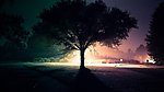 郊外夜晚