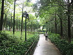 释雅山公园