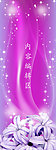 紫韵