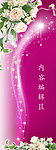 白玫瑰