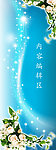 白玫瑰