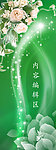 白玫瑰
