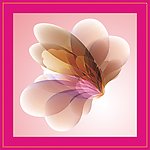 花瓣