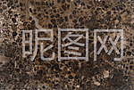 黄金海岸大理石