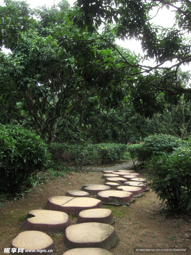 圆石小路