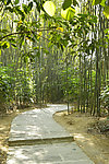 石板路