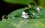 水珠