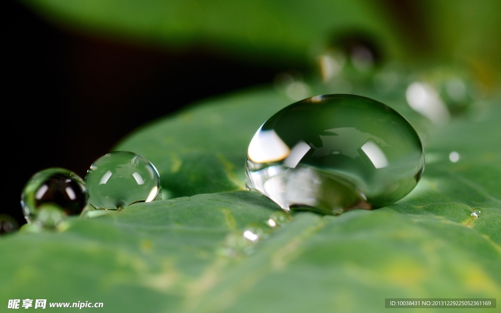 水珠