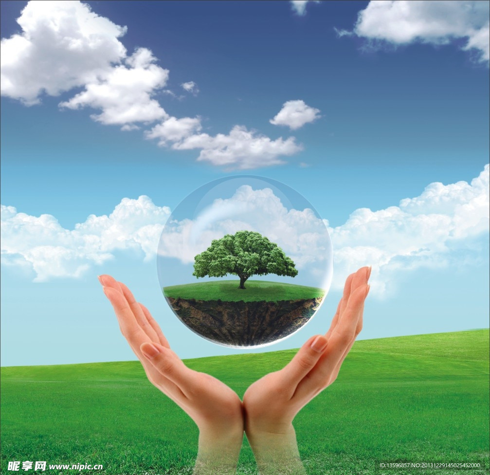 科技手捧树