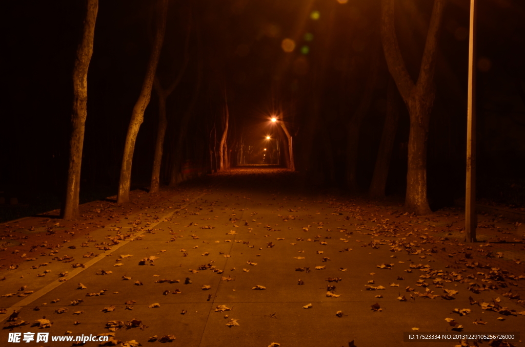 夜晚的道路