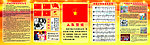 少先队