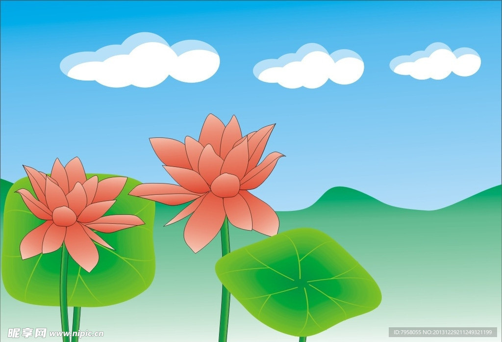 荷花