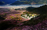 桃花山村风景