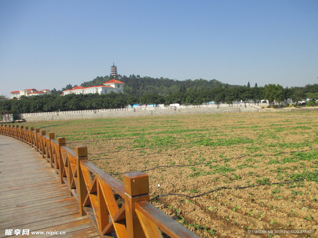 公园风景