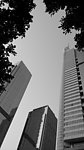 广州城市建筑