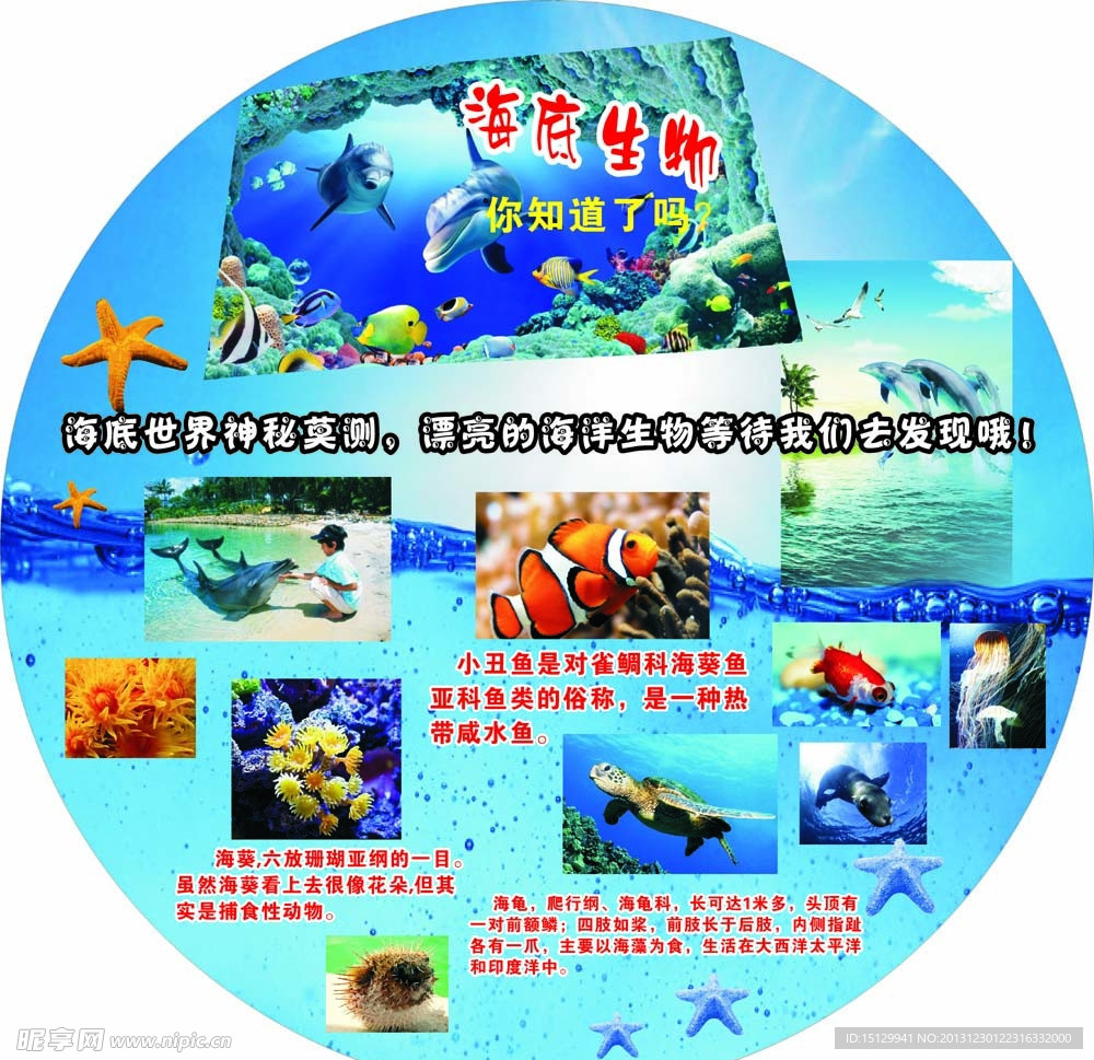 学校展板