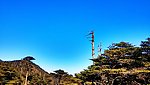 苍山