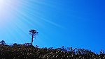 苍山