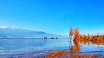 大理 洱海