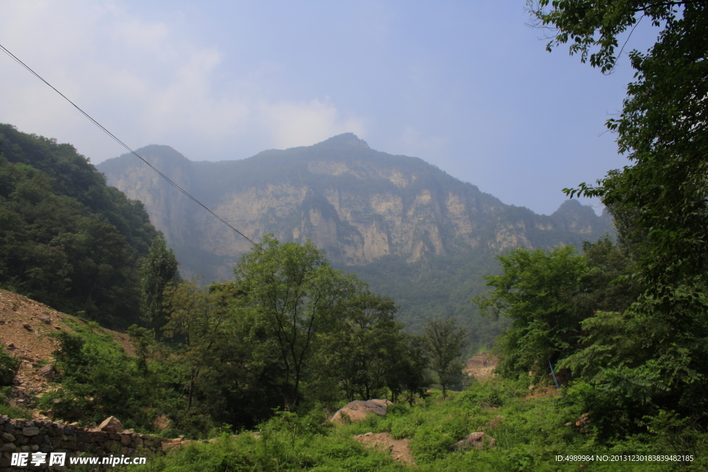 夏日自然风景