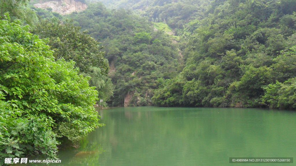 绿色风景