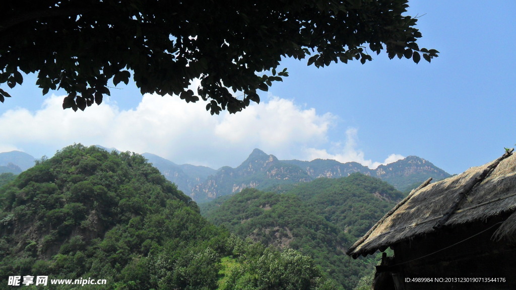 夏日风景