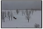 雪乡