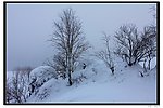 雪乡