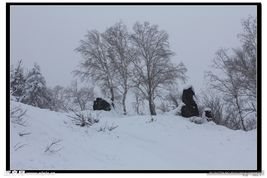 雪乡美景