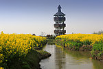千岛菜花风景区