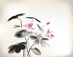 荷花 中国画