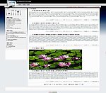 论坛模版