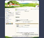 中文网站模版