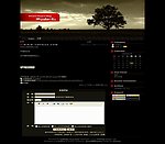 中文论坛模版