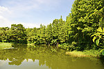 湖中倒影