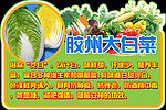 蔬菜吊牌