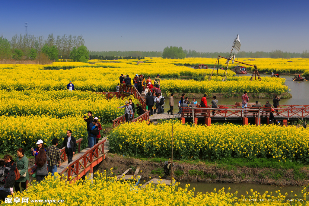 千岛菜花风景区