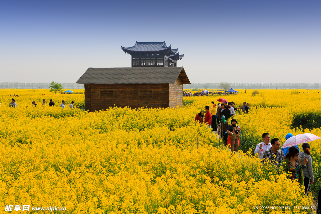 千岛菜花风景区