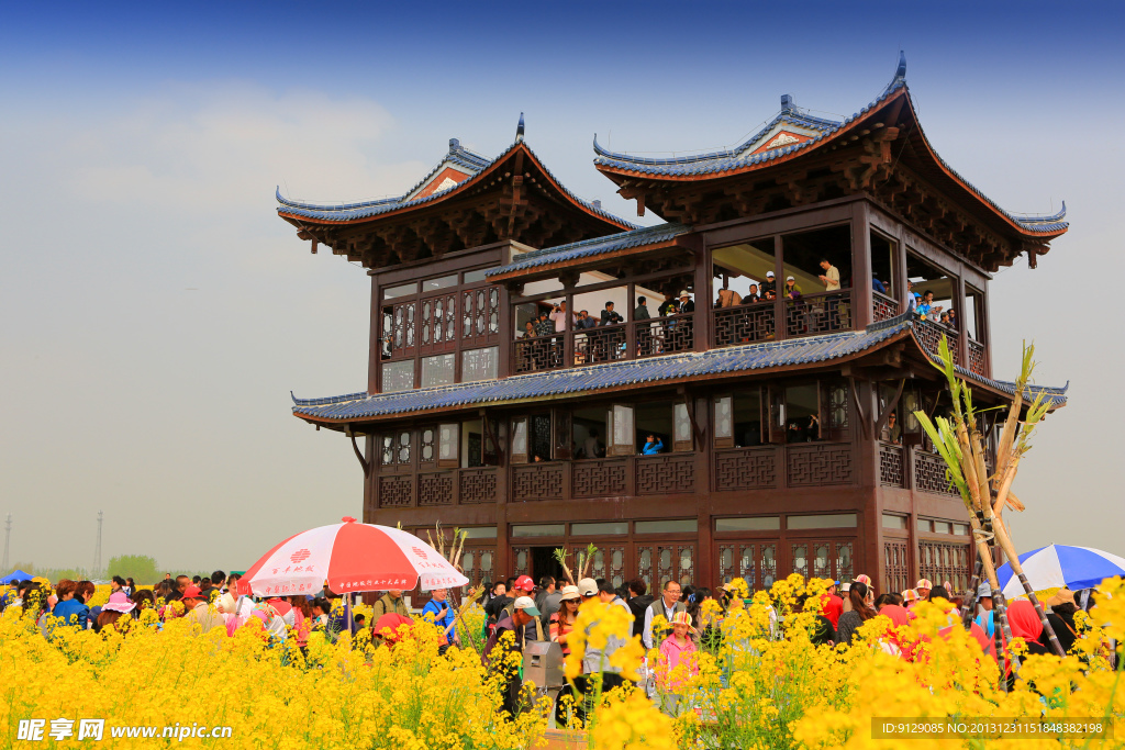 千岛菜花风景区