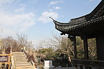冬季梅花洲